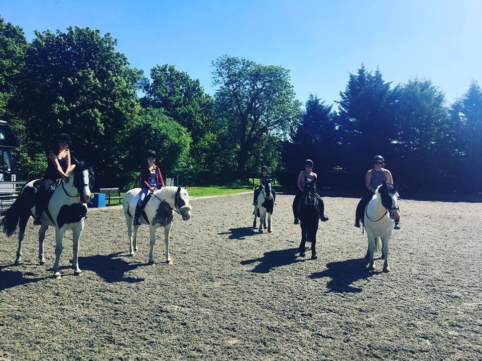 Mill Lane Riding School